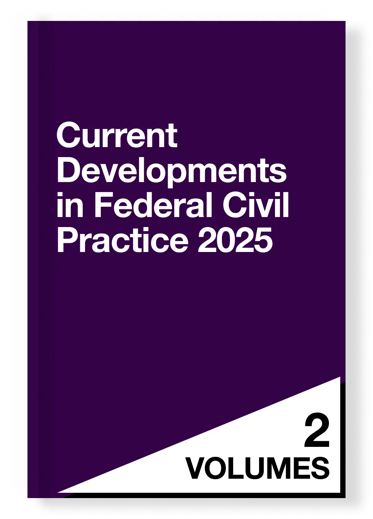 Current Developments in Federal Civil Practice 2025